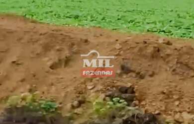 Imagem 3: Área Total 1.500 Alqueires 7.260 Há Região vale do Araguaia - TO