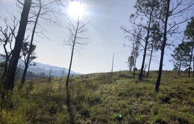 Imagem 6: Lote/Terreno para venda com 1000 metros quadrados em Vila Santista - Atibaia...