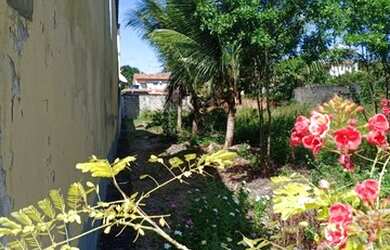 Imagem: O terreno possui 700m² de Área e está localizado em Ilhéus