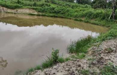 Imagem: O terreno possui 1.000m² de Área e está localizado em Fortuna