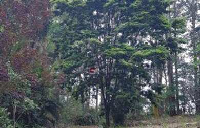 Imagem 3: Sítio à venda, 28000 m² por R$ 490.000,00 - Pau D alho - Itu/SP