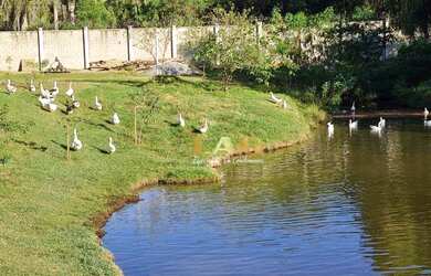 Imagem 5: Terreno à venda, 1189 m² por R$ 317.000,00 - Condomínio Terras de São...