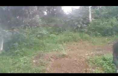 Imagem: O terreno possui 150m² de Área e está localizado em Itajacuru