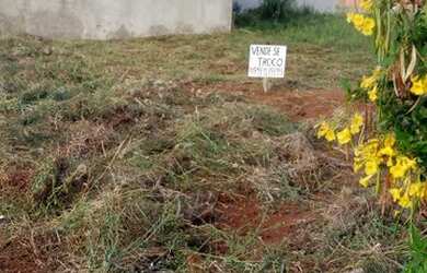 Imagem: O terreno possui 200m² de Área e está localizado em Guariba