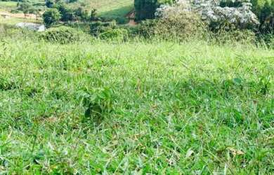 Imagem 4: Lote/Terreno para venda possui 1000 metros quadrados em Centro - Atibaia...