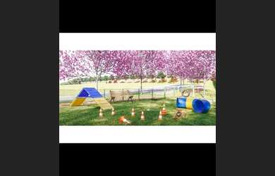 Imagem 3: LOTE JARDINS LONDRES. 580m² de Área