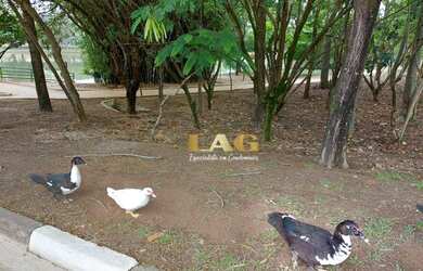 Imagem 14: Terreno à venda, 582 m² por R$ 550.000,00 - Condomínio Ibiti do Paço...