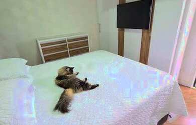 Imagem 12: Sobrado à venda, 208 m² por R$ 560.000,00 - Jardim Altos de Santana...