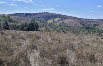 Imagem 11: Terreno 107 Hectares em São Tiago Ótimo Preço