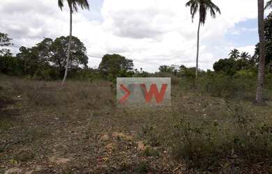 Imagem 5: Terreno à venda, 17860 m² por R$ 200.000 - Boa Esperança - Parnamirim/RN
