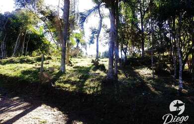 Imagem 8: Terreno à venda, 530 m² por R$ 280.000,00 - Siriú - Garopaba/SC