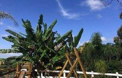 Imagem 8: Chácara à venda, 14000 m² por R$ 640.000,00 - Altos da vila Paiva -...