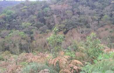 Imagem 5: Terreno barato. 4.500m² de Área