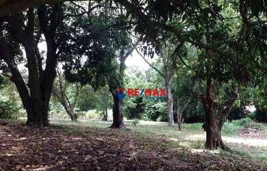 Imagem 15: Sítio à venda, 1351 m² por R$ 6.575.000,00 - Rural - Itupeva/SP