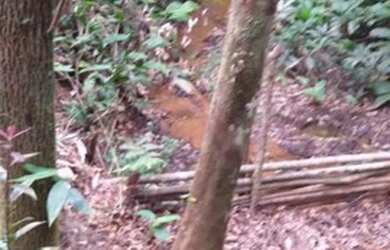 Imagem 9: Terreno barato. 4.500m² de Área