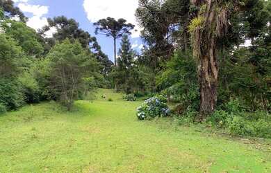 Imagem 4: Terreno à venda, 134645 m² por R$ 12.000.000,00 - Tanguá - Almirante...