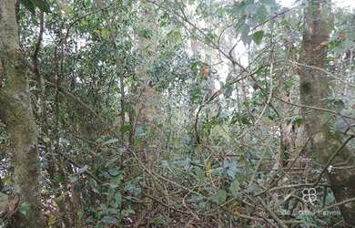 Imagem: O terreno possui 1.171m² de Área e está localizado em Altos