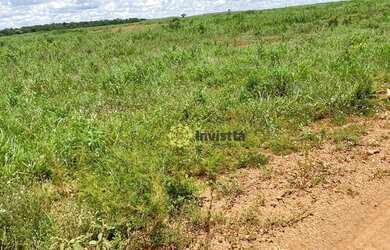 Imagem 8: Fazenda 2.420 Hectares no Vale do Araguaia - Tocantins