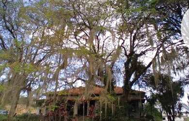 Imagem 5: Terreno à venda, 559 m² por R$ 585.000,00 - Condomínio Reserva do Itamaracá...