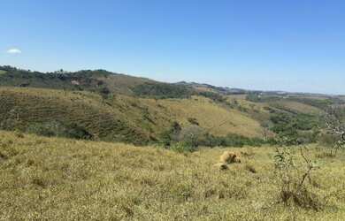 Imagem 10: Terreno 107 Hectares em São Tiago Ótimo Preço