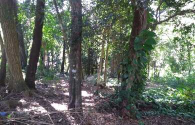 Imagem 14: Chácara, 5000 m² - venda por R$ 1.050.000,00 ou aluguel por R$ 3.900,00/mês...