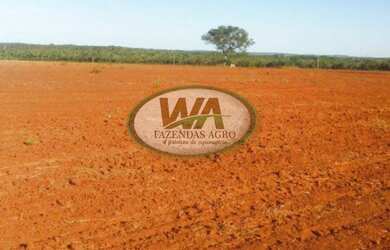 Imagem: Fazenda plantando soja há 7 anos no Tocantins