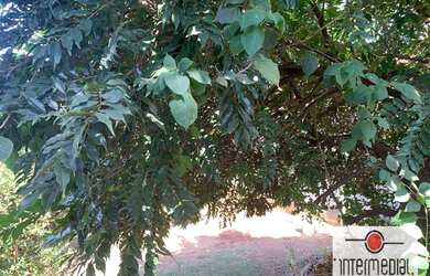 Imagem 4: Terreno à venda, 326 m² por R$ 550.000,00 - Centro - Boituva/SP