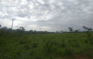 Imagem 7: Fazenda à venda, m² por R$ 13.500.000,00 - Setor Central - Novo Acordo/TO