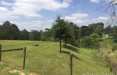 Imagem 4: Galpão, 800 m² - venda por R$ 2.500.000,00 ou aluguel por R$ 14.000,00/mês...