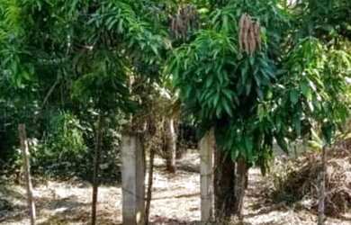 Imagem 4: Área à venda em Morada das Águias, Itaipuaçú RJ