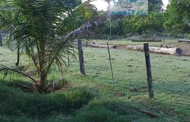 Imagem 7: Fazenda 2.180 hectares Pantanal Alto Região do Mimoso