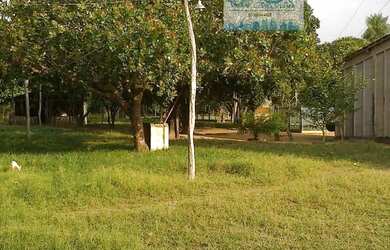 Imagem 6: Fazenda 2.180 hectares Pantanal Alto Região do Mimoso