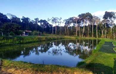 Imagem: A chácara possui 1500m² de Área e está localizado em Tarumã