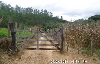 Imagem 11: 2449 - Ótima Fazendinha de 32 HA, limpa formada, em ótimo local com...