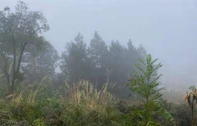 Imagem 3: Terreno - Bairro Morada Da Serra