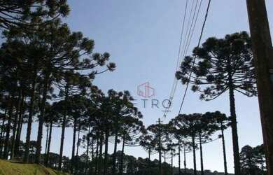 Imagem 11: Terreno à Venda em Canela