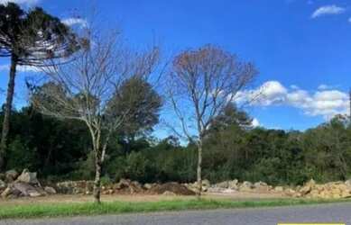 Imagem 1: Terreno para Venda em Nova Petrópolis, Vila Germânia