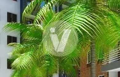 Imagem 4: Apartamento 2 dormitórios, sacada com espera churrasqueira e vaga de...