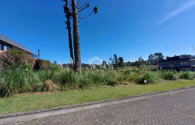 Imagem 4: Terreno à Venda no Loteamento Terras Altas, Gramado