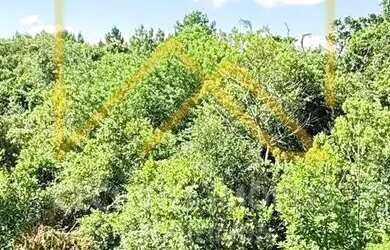 Imagem 13: Condomínio Di Pavona - Casa à venda no bairro Cadiz - Gravataí/RS