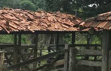 Imagem 15: Alugo Pasto Abadia de Goiás 3 Alqueire com água