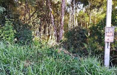 Imagem: A fazenda possui 4.662m² de Área e está localizado em Colônia