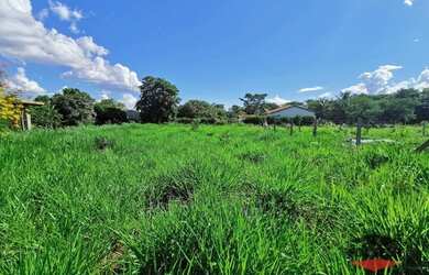 Imagem 3: Terreno à venda, 1000 m² por R$ 60.000,00 - Lagoa da Garça - Rubinéia/SP