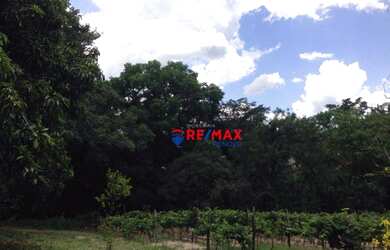 Imagem 14: Sítio à venda, 1351 m² por R$ 6.575.000,00 - Rural - Itupeva/SP