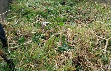 Imagem 5: Terreno à venda, 240 m² por R$ 288.000,00 - Vila Santa Teresinha - Itaquera...