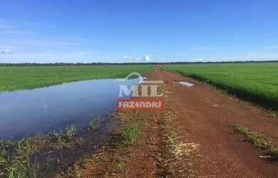 Imagem: A fazenda está localizado em Formoso do Araguaia, TO à venda