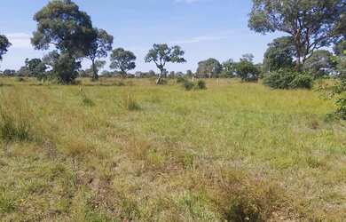 Imagem 3: Fazenda região de poconé