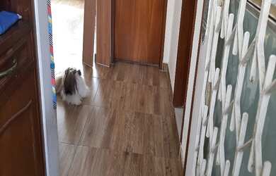 Imagem 4: APARTAMENTO RESIDENCIAL em RIO DE JANEIRO - RJ, GLÓRIA