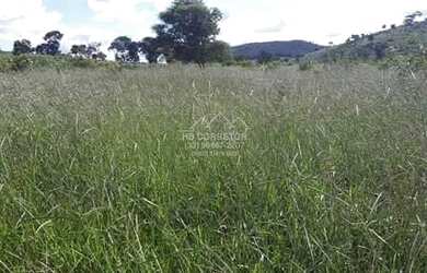 Imagem 15: Novo Cruzeiro - Fazenda - Zona Rural