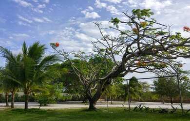 Imagem: A chácara possui 250m² de Área e está localizado em Centro